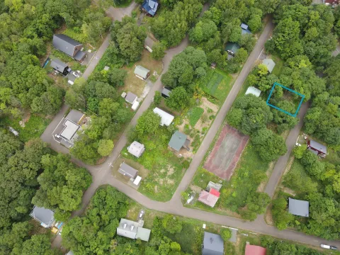 Royal Town swiderski photo