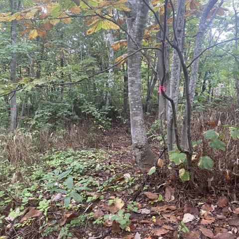 457465151_496033380025538_5052821986677991963_n