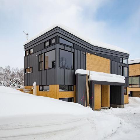 mountainbutterfly-2280px-5