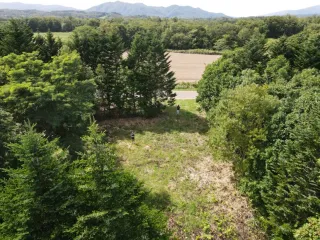 371138387_322423337313644_6116168333557028683_n